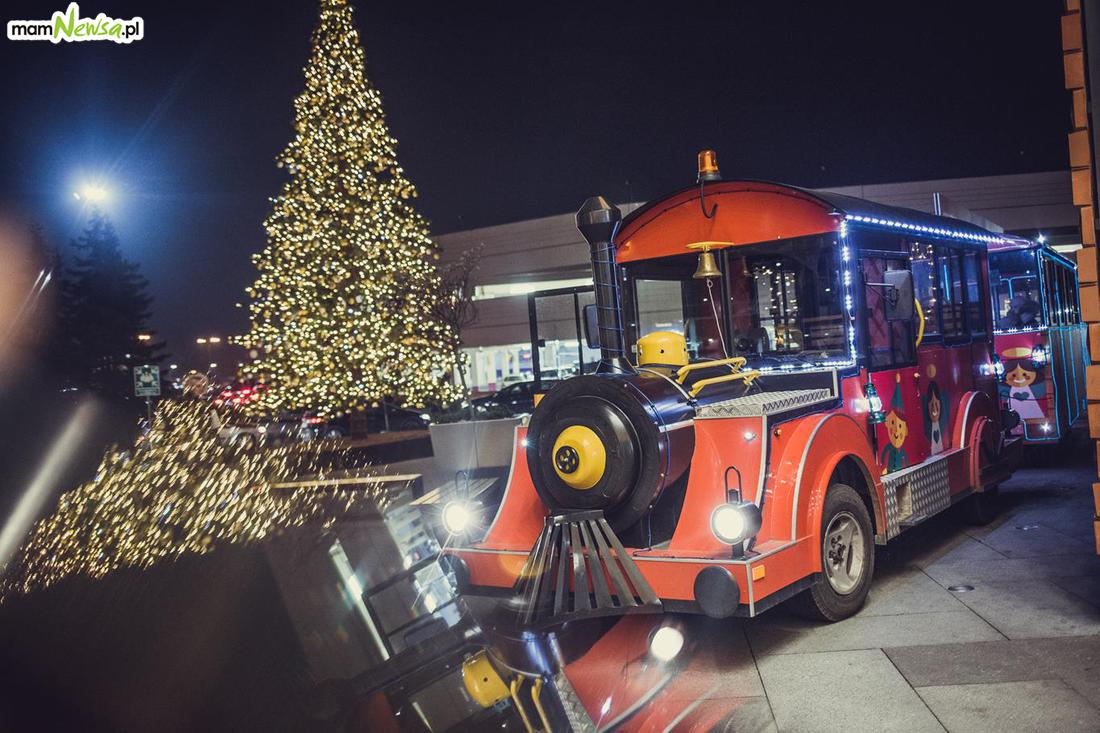Wynajmij kolejki turystyczne już dziś