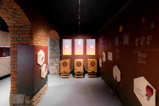 apilandia_wzorro_03-2024_kazmierczak__4963.jpg
