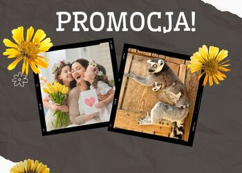 Promocja - 1 bilet + 1 gratis